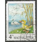 Венгрия. Водоплавающие птицы. 1984г. Mi#3940.