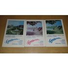 Календарики 1971 - 1972 "Союзпечать" Свердловск 3 шт. одним лотом