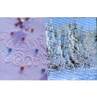 Подписанная полуторная открытка 1974г. "С Новым годом! Зимний лес" фото Р. Папикьян и Б. Раскин