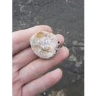 Лот по вермахту.