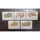 СССР. 1977 год. Фауна. Пресмыкающиеся. Змеи (1100)