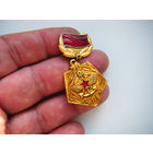 Зн. 70лет ЖДВ.