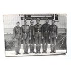 Фото в коллекцию