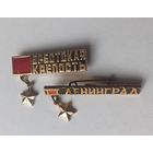 Знак  значок присвоенные и награждённые золотой звездой