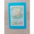 Календарик 1991