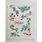 Соколова 1986 С новым годом