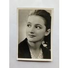 Открытое письмо А.В. Шенгелая 1960 год.