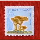СССР. Грибы. ( 1 марка ) 1964 года.