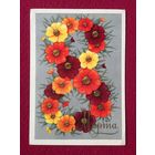 8 Марта! Колесников 1973 г.