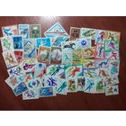 СПОРТ (48 чистых марок СССР)