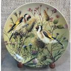 Декоративная настенная тарелка Tirschenreuth Поиск пищи в чертополохе. Из серии Самые красивые портреты птиц Карла-Ганса Бёзе. Германия 1995 год. 19.5 см