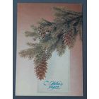 Чистая. С Новым Годом! Дергилев 1984 г.