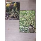 Каталог живописи Елены и Игоря Бархатковых. Альбом. Бархатков, Бархаткова.