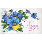 Подписанная открытка 1976г. "Поздравляю! Анютины глазки" худ. Т. Елагина