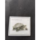 Австрия  черепаха  самокл.