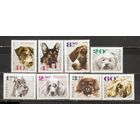 ФФ1 Польша 1969 Собаки