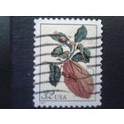 США 1997 стандарт, цитрус