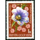 Цветы СССР 1974 год 1 марка