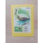 Календарик 1991