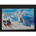 Беларусь 2006 год. XX Олимпийские игры в Турине. Блок.