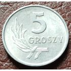 Польша 5 грошей, 1972    ( 1-3-8 )