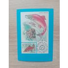 Календарик 1991