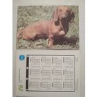 Карманный календарик. Собака.1993 год