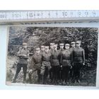 Фото "Лесные братья "(алб)