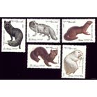 5 марок 1980 год Ценные породы пушных зверей 5018-5022