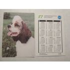Карманный календарик. Собака.1993 год