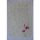 Тюрин А., Гвоздики; 1966, чистая.