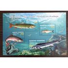 2020 Красная книга Казахстана