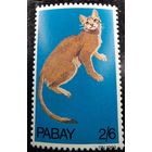 Шотландия остров Пабей 1969 Фауна Кошки