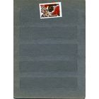 СССР, 1982, 50 лет Комсомольска-на-Амуре,  серия 1м  чистая  ,