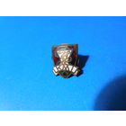 Старый знак. ДСО.