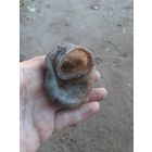 Антураж по вермахту