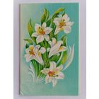 Открытка из СССР, 1991г, подписанная.