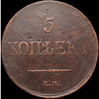 5 копеек 1831 ЕМ, Отличная! С 1 Рубля! Смотрите другие лоты!