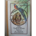 АЛЬФРЕД ШКЛЯРСКИЙ "ПРИКЛЮЧЕНИЯ ТОМЕКА НА ЧЕРНОМ КОНТИНЕНТЕ"