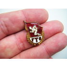 ГТО 1- разряд. Бронза . Эмали.