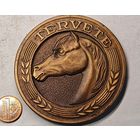 Лошадка настольная медаль
