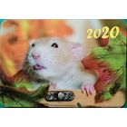 Календарик Крыса