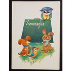 Дергилева 1 сентября 1980 чистая открытка СССР