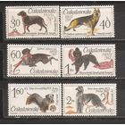 ФФ1 Чехословакия 1965 Собаки