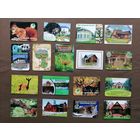 Календарики Лесхозы по рублю за штуку, можно рассчитываться рос. рублями, даже железными, kin-2 (4021)