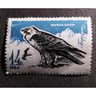 Марка СССР 1965 год Птицы