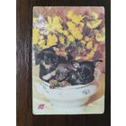 Календарик страхование