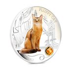 Фиджи 2 доллара 2013г. "Сомалийская кошка". Монета в капсуле; подарочном футляре; номерной сертификат; коробка. СЕРЕБРО 31,10гр.(1 oz).