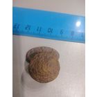 Зацеп с пуговицей. Находка