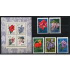 Тропические и субтропические растения. 1971. Полная серия 5 марок + блок. Чистые